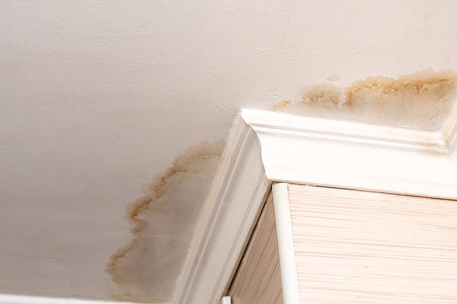 Remediation Water/Mold & Leak Detection