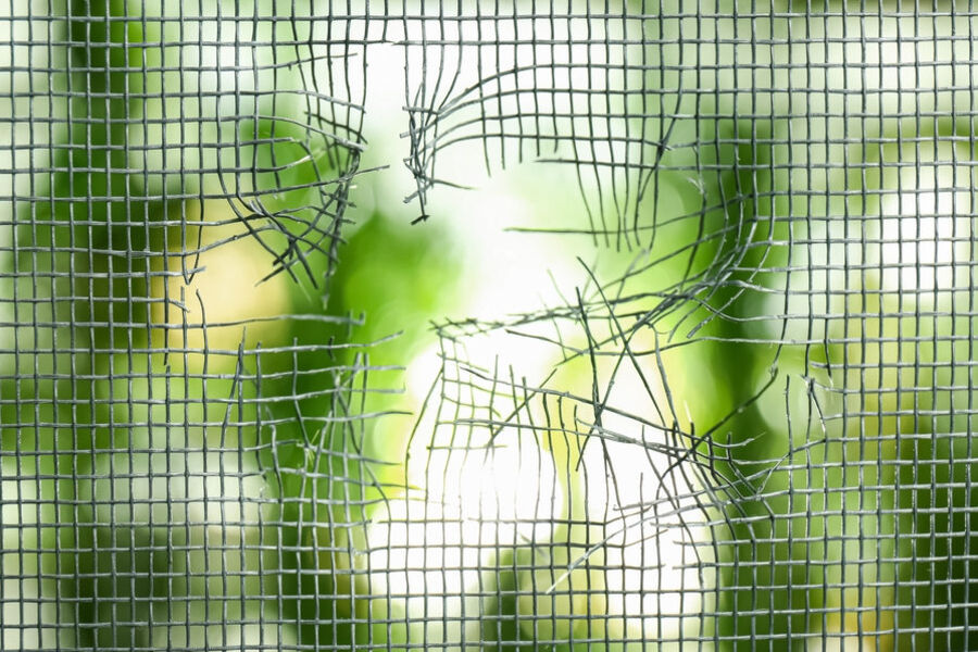 Screen Repair & Installation