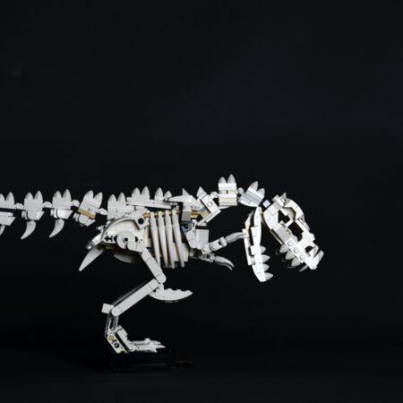 This is a Test Alt #29808