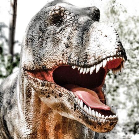 This is a Test Alt #17852